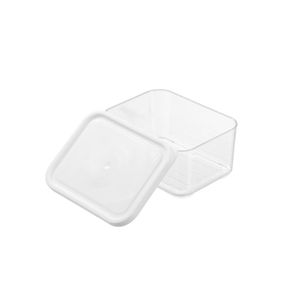 48PK Lemon & Lime Fridge Food Storer Container 450ml 9x5.6x12cm