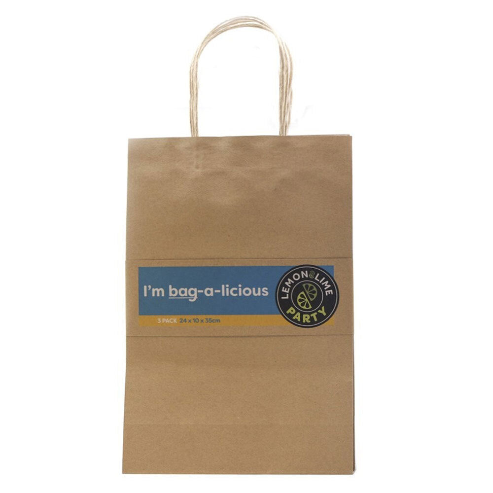 12PK Lemon & Lime Gift Bag Paper 35X24X10cm Assorted