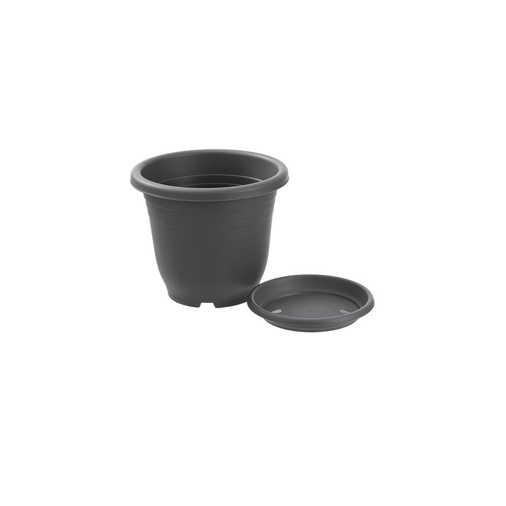 12PK Boxsweden Plastic Planter Pot 24cm w/ Saucer 24.5x24.5x20.5cm Assorted