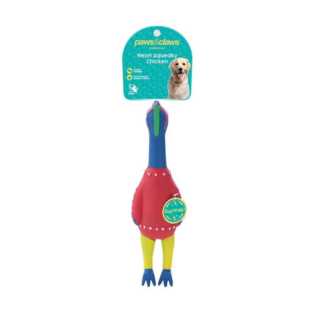 6PK Paws and Claws Vinyl Neon Squeaky Chicken 25x7x4cm Tough Rubber Assorted