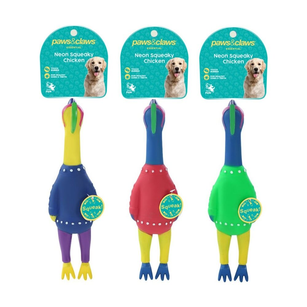 6PK Paws and Claws Vinyl Neon Squeaky Chicken 25x7x4cm Tough Rubber Assorted