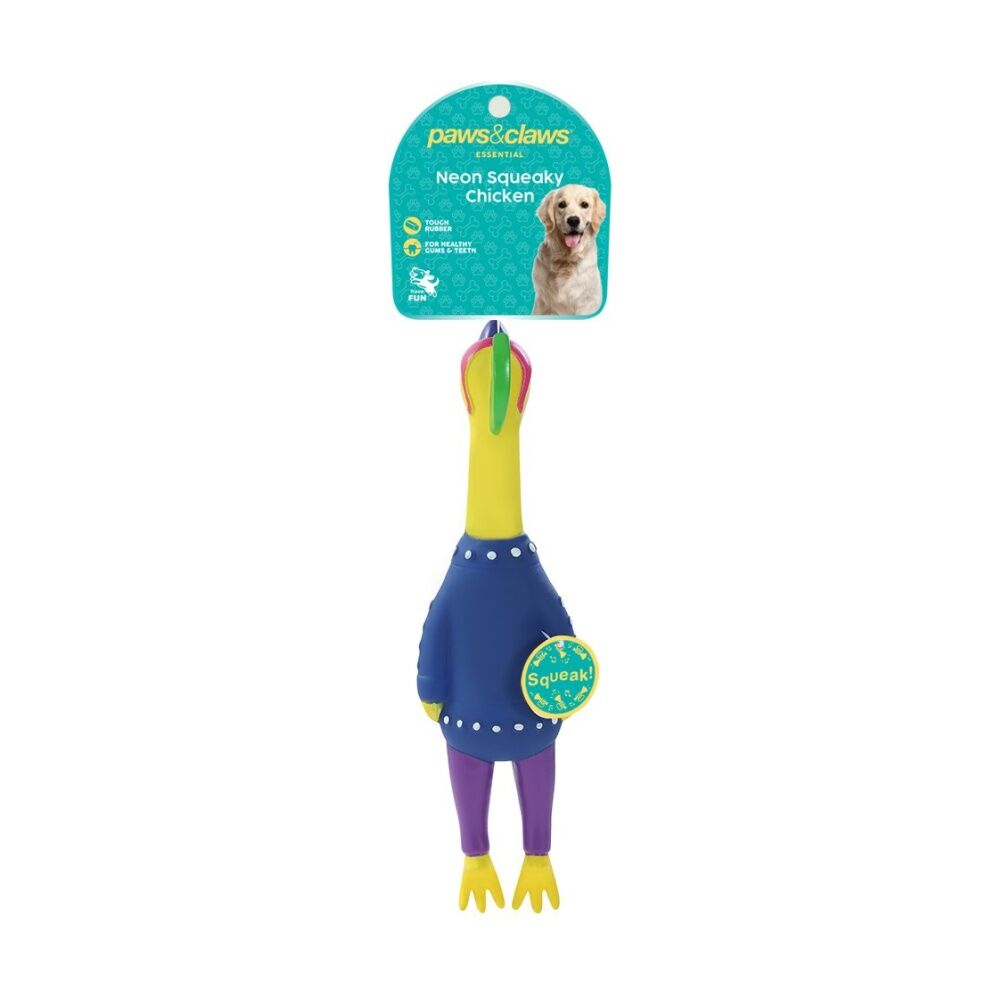 6PK Paws and Claws Vinyl Neon Squeaky Chicken 25x7x4cm Tough Rubber Assorted