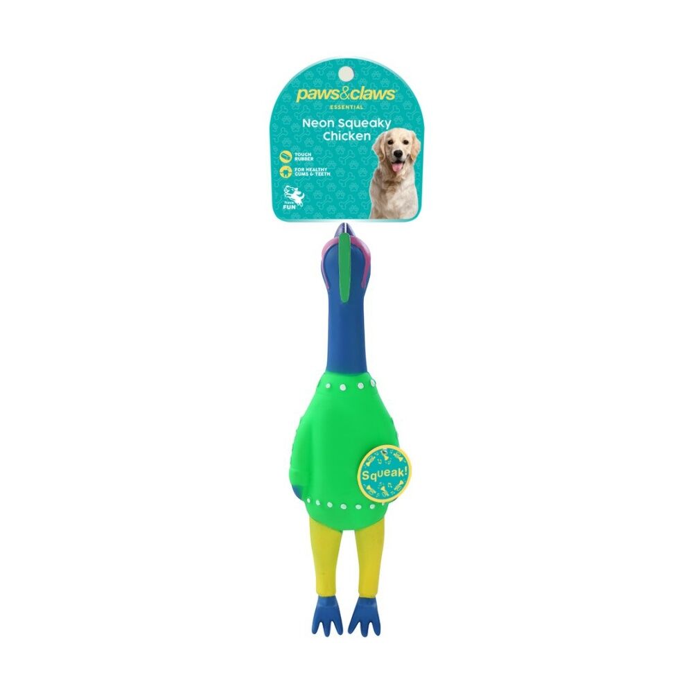 6PK Paws and Claws Vinyl Neon Squeaky Chicken 25x7x4cm Tough Rubber Assorted