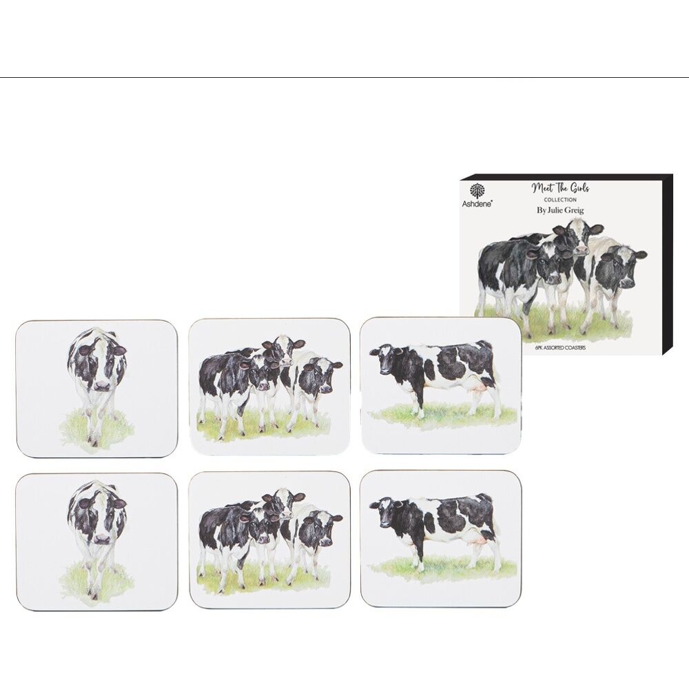 2x 6pc Ashdene Meet The Girls Tabletop Dining Coaster 11x10cm