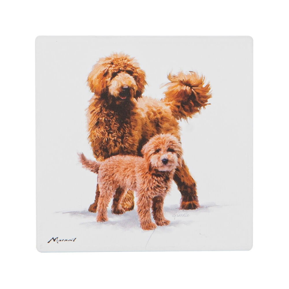 12PK Ashdene Puppy Love Groodle Ceramic Coaster Square 10x10cm