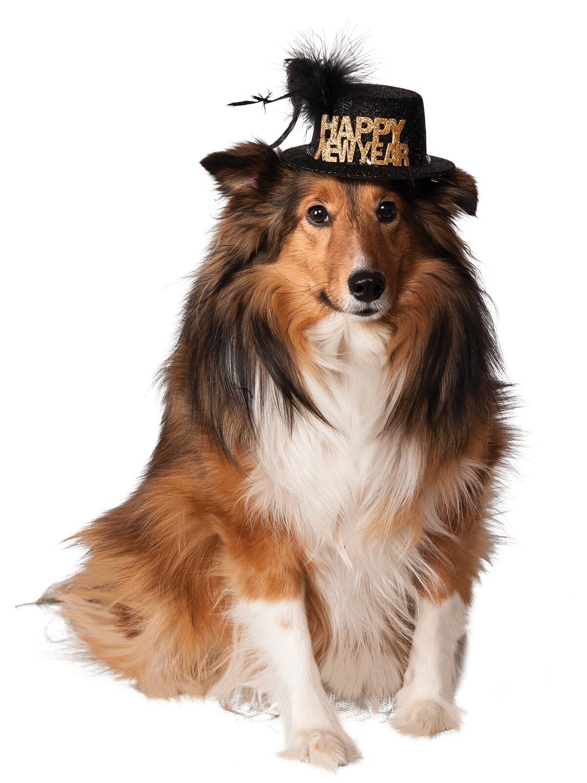 3PK Rubies Happy New Year Party Pet Hat Dog/Cat - Size S-M