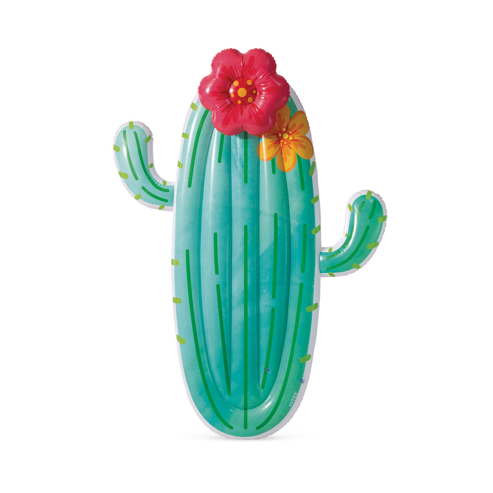 2PK Intex Cactus Inflatable Outdoor Swimming Pool Float