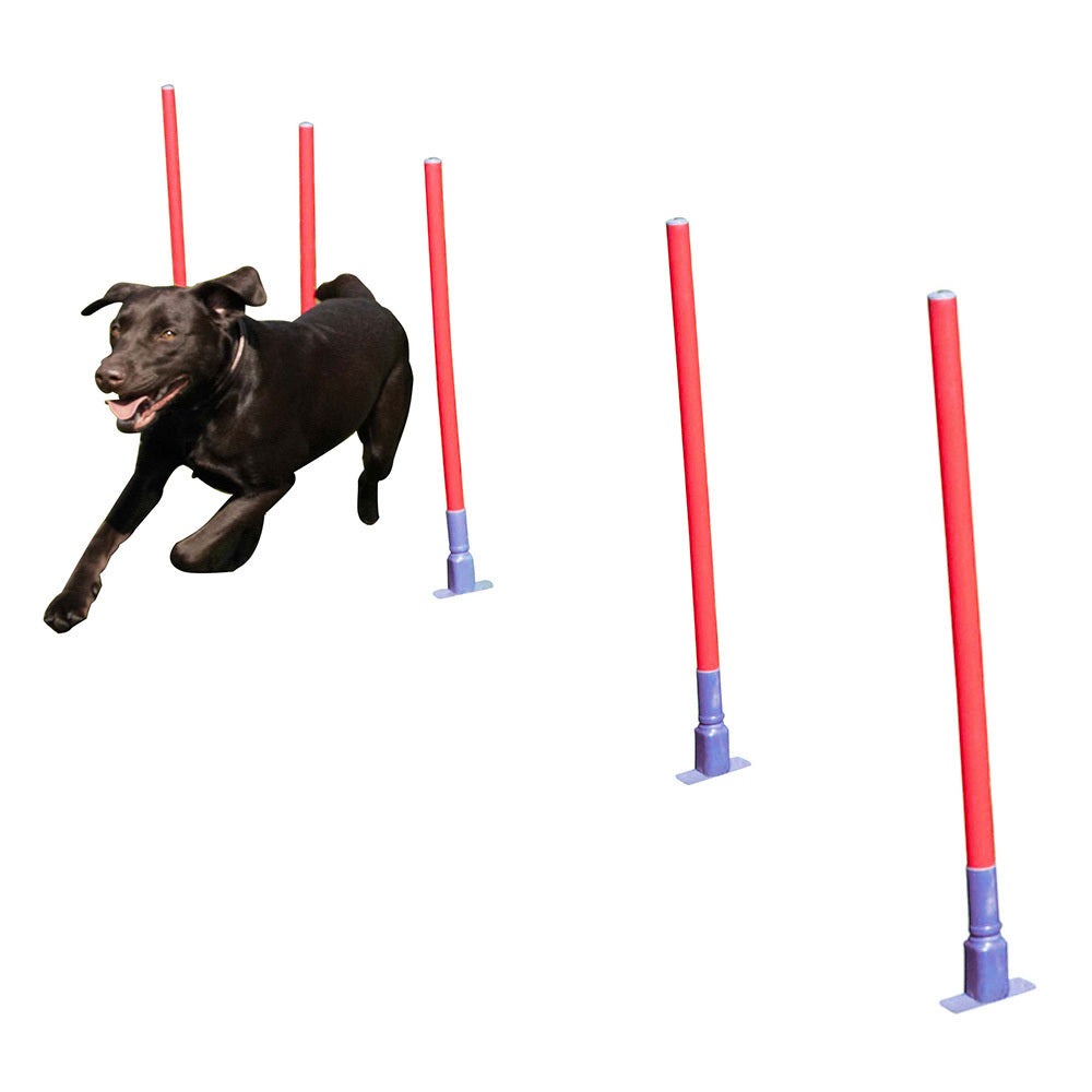 2490-5pc-coopet-81cm-dog-collection-slalom-agility-range