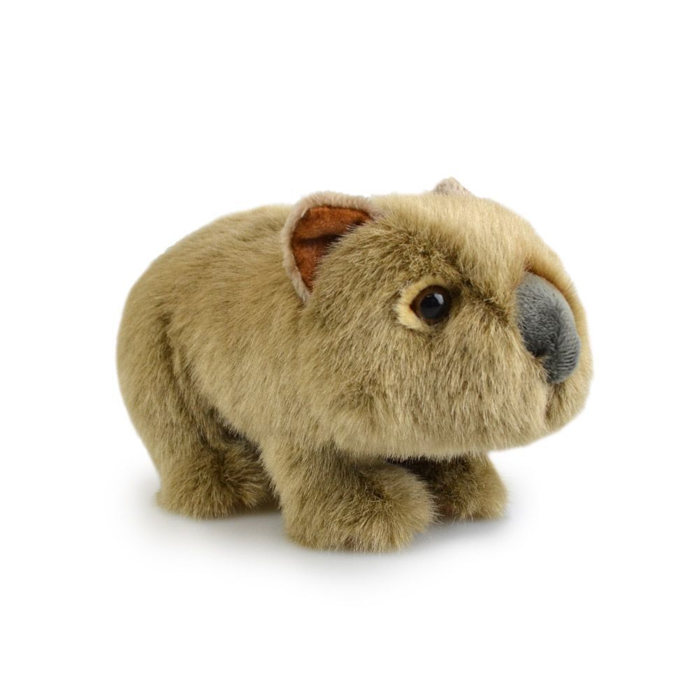 57i0182894-wombat-lil-friends-kids-18cm-soft-toy-3y