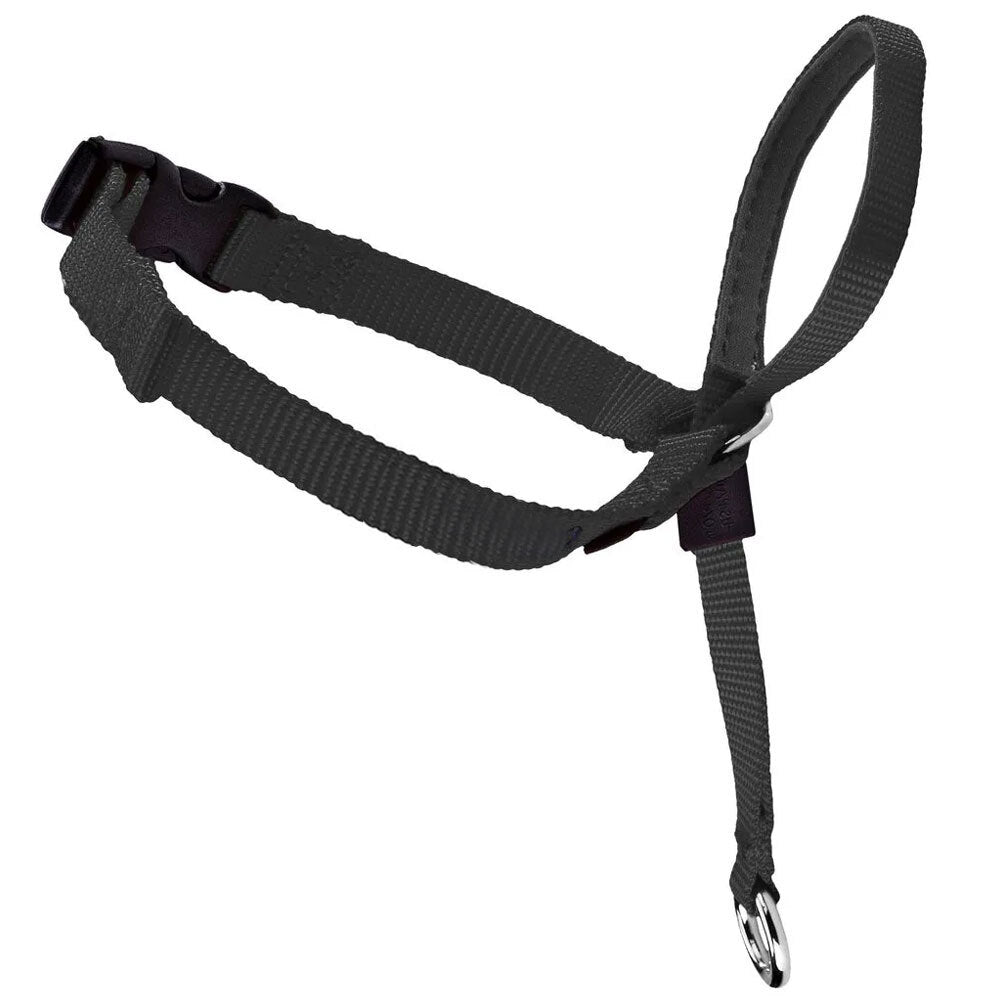 892021-gentle-leader-10-30kgs-dog-head-collar-m-black