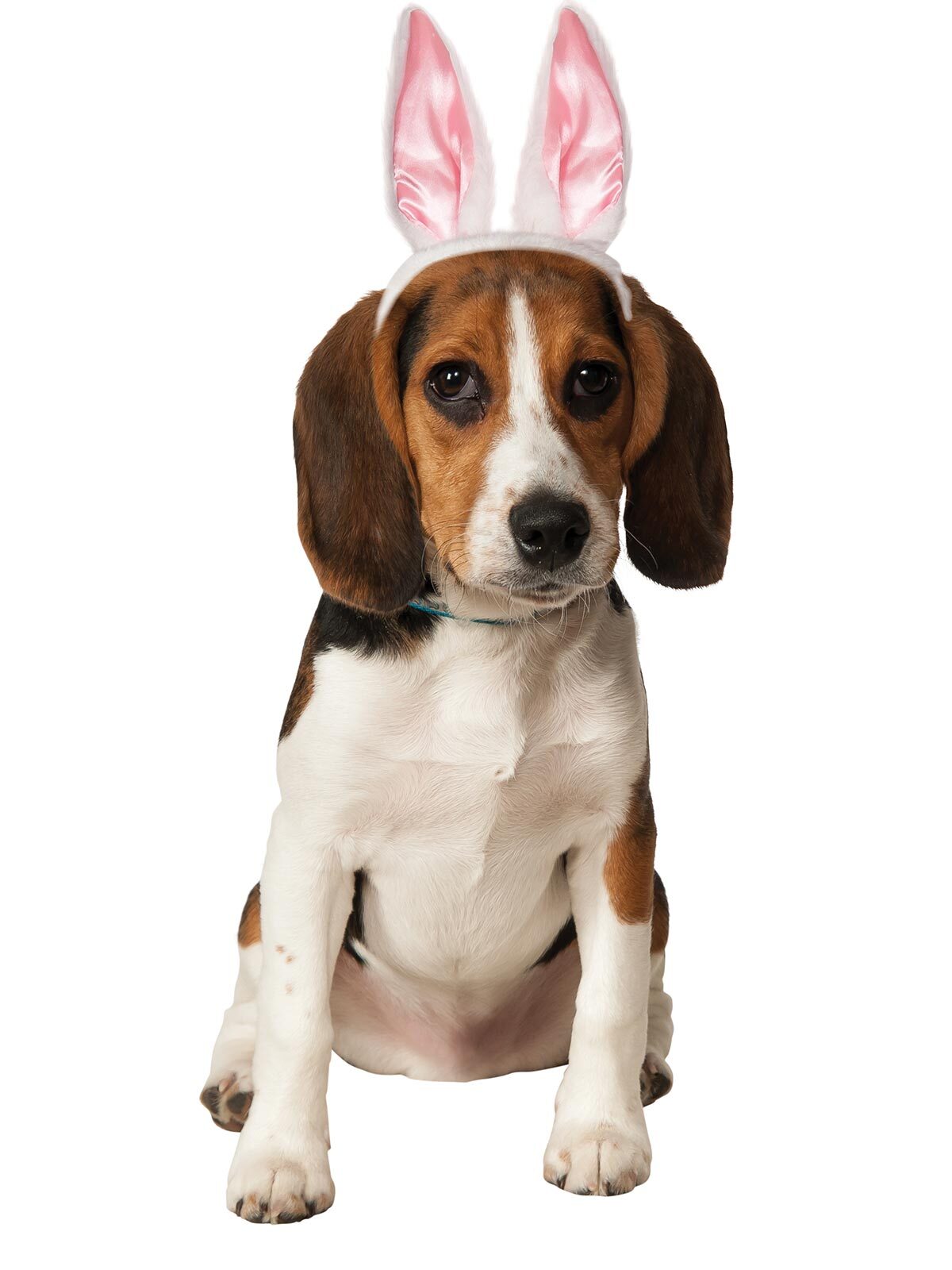 580181sm-rubies-bunny-ears-pet-accessory-dog-cat-size-s-m
