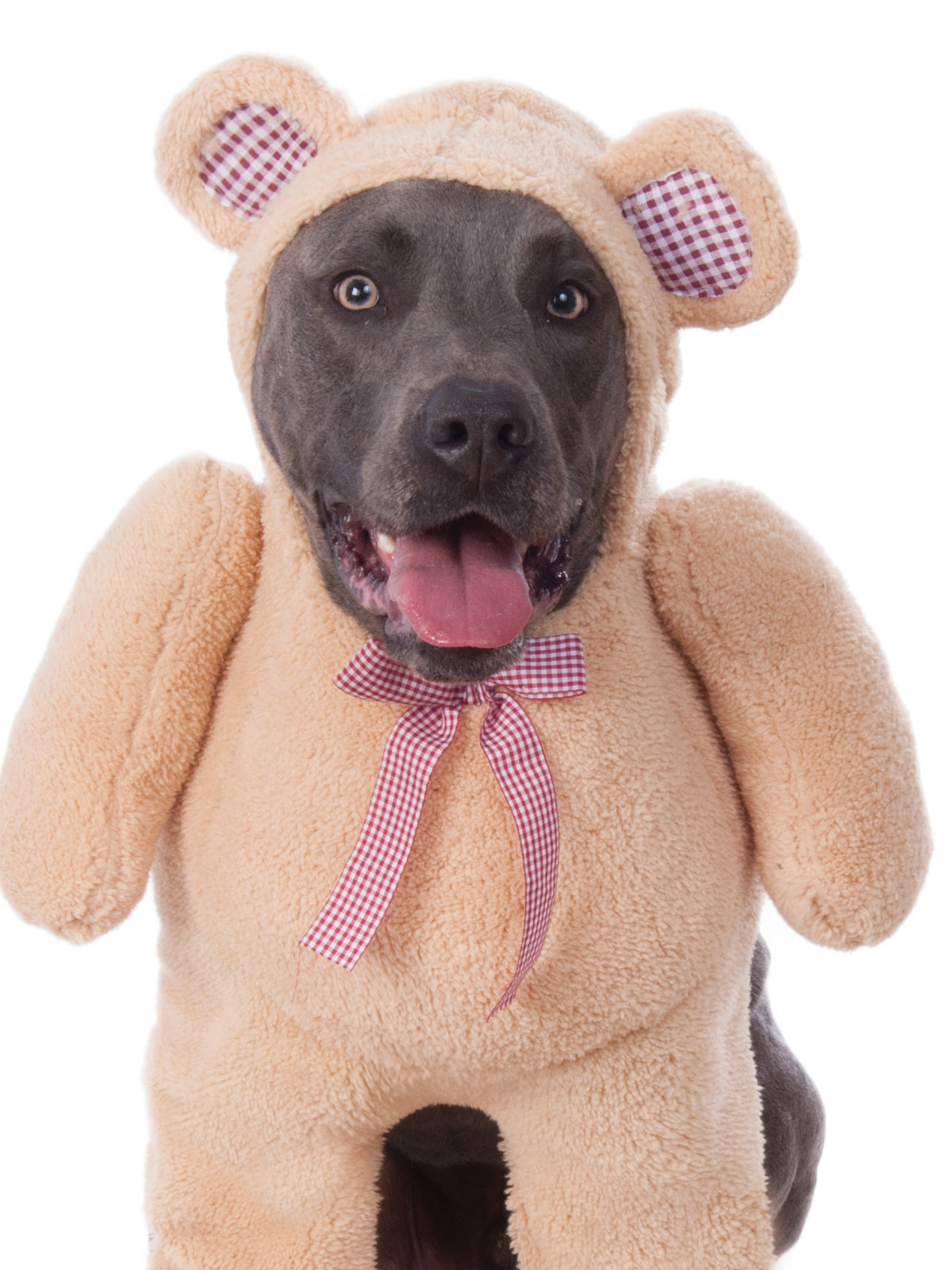 580714xxl-rubies-walking-teddy-bear-big-dogs-pet-dress-up-costume-size-xxl