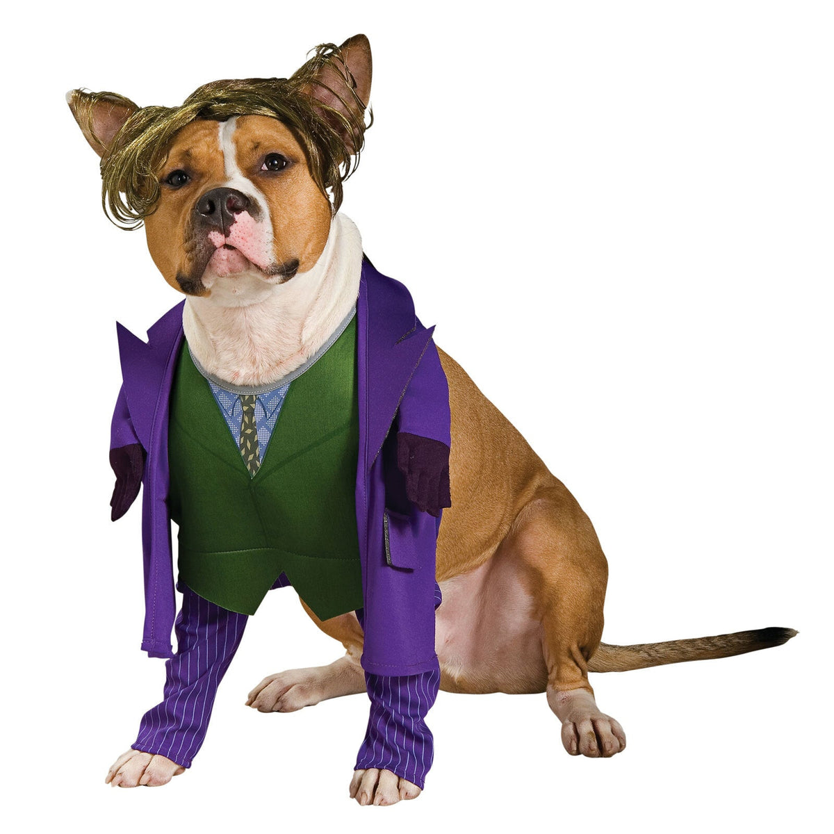 885953l-dc-comics-the-joker-pet-dress-up-costume-for-dogs-size-l