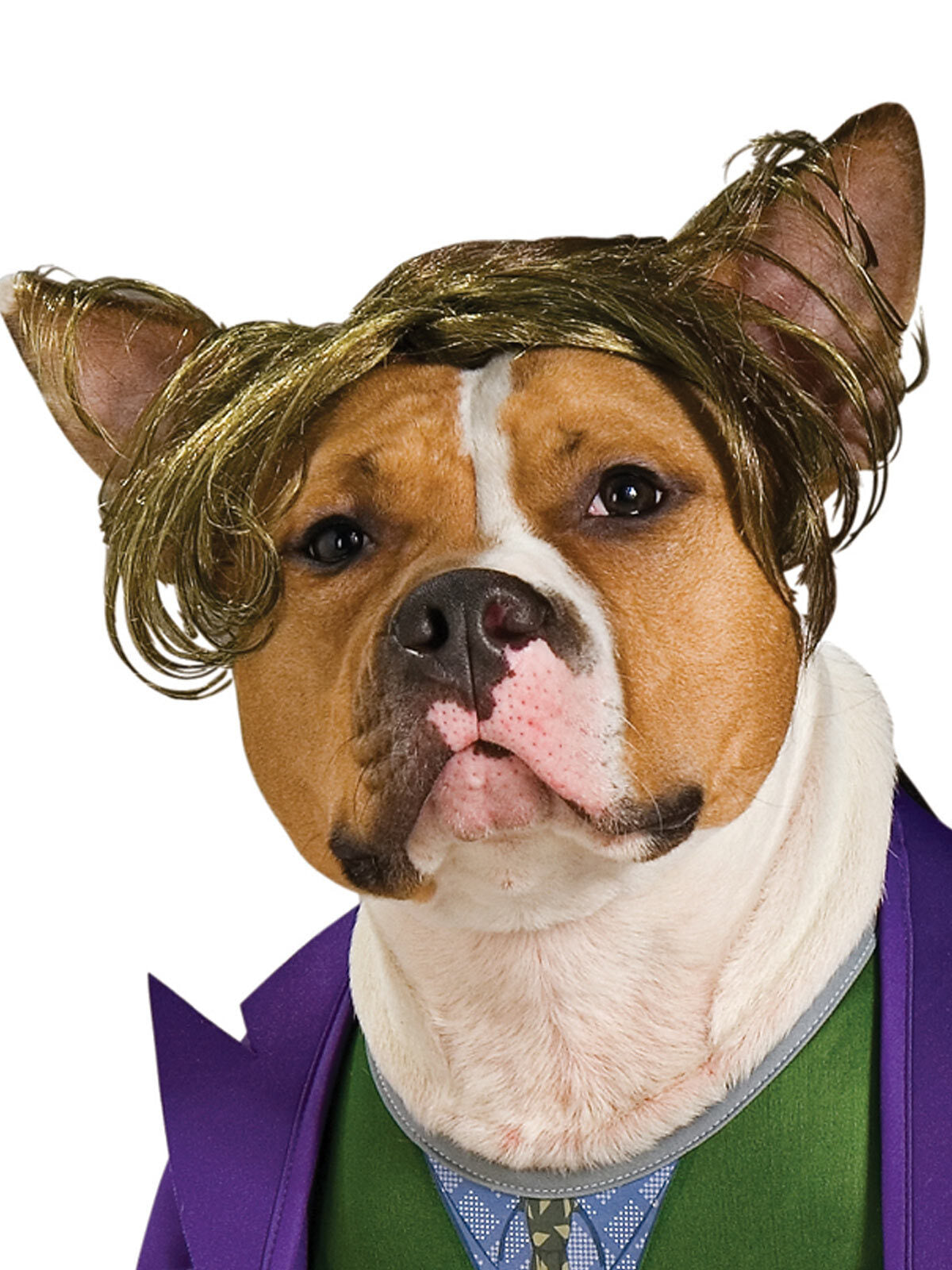 885953l-dc-comics-the-joker-pet-dress-up-costume-for-dogs-size-l