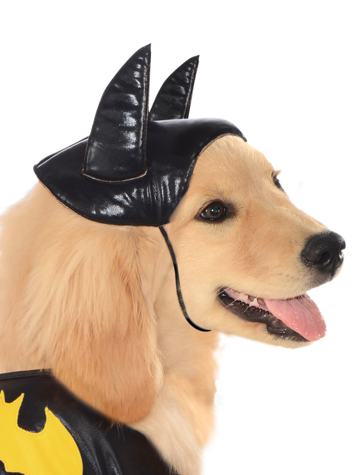 887837m-dc-comics-batgirl-pet-dress-up-costume-size-m-for-dogs