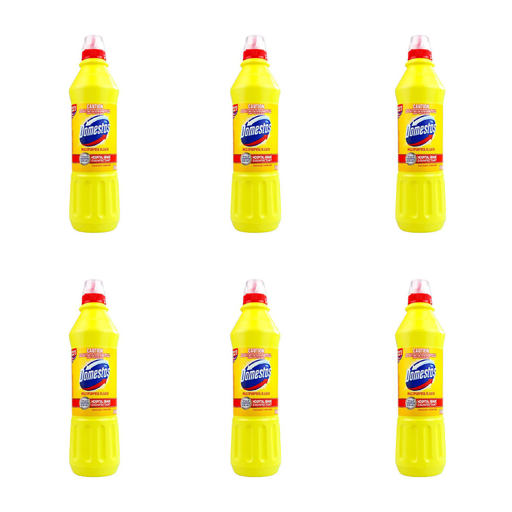 6PK Domestos Multipurpose Bleach Cleaner 750ml - Citrus Fresh