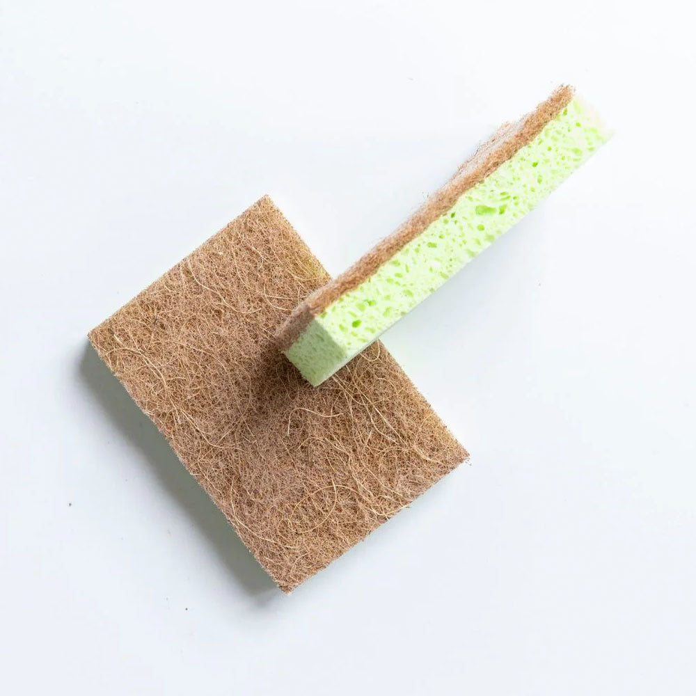 6x 2pc Eco Turtles Non Scratch Cellulose Kitchen Sponge