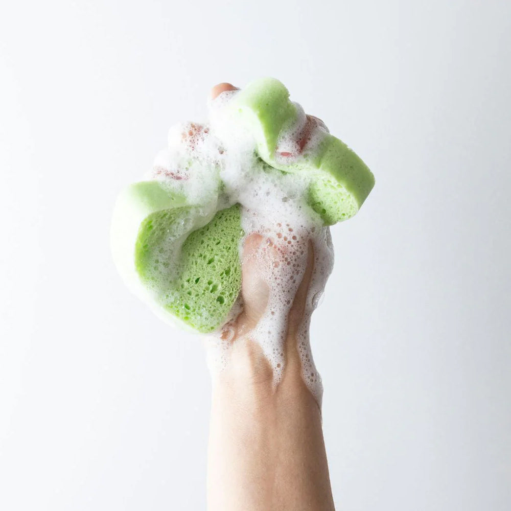 18PK Eco Turtles Multipurpose Cellulose Sponge Kitchen Cleaning