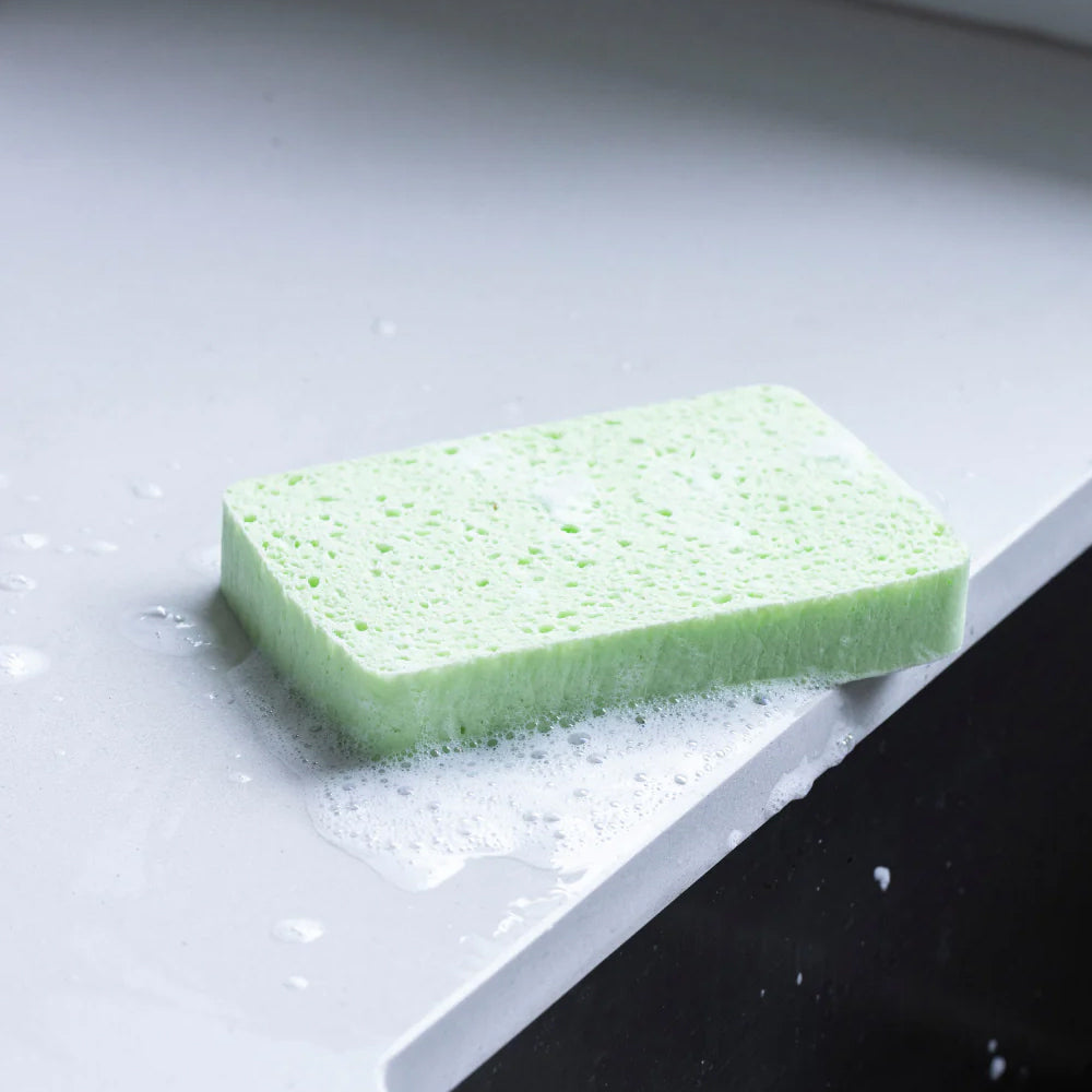 18PK Eco Turtles Multipurpose Cellulose Sponge Kitchen Cleaning