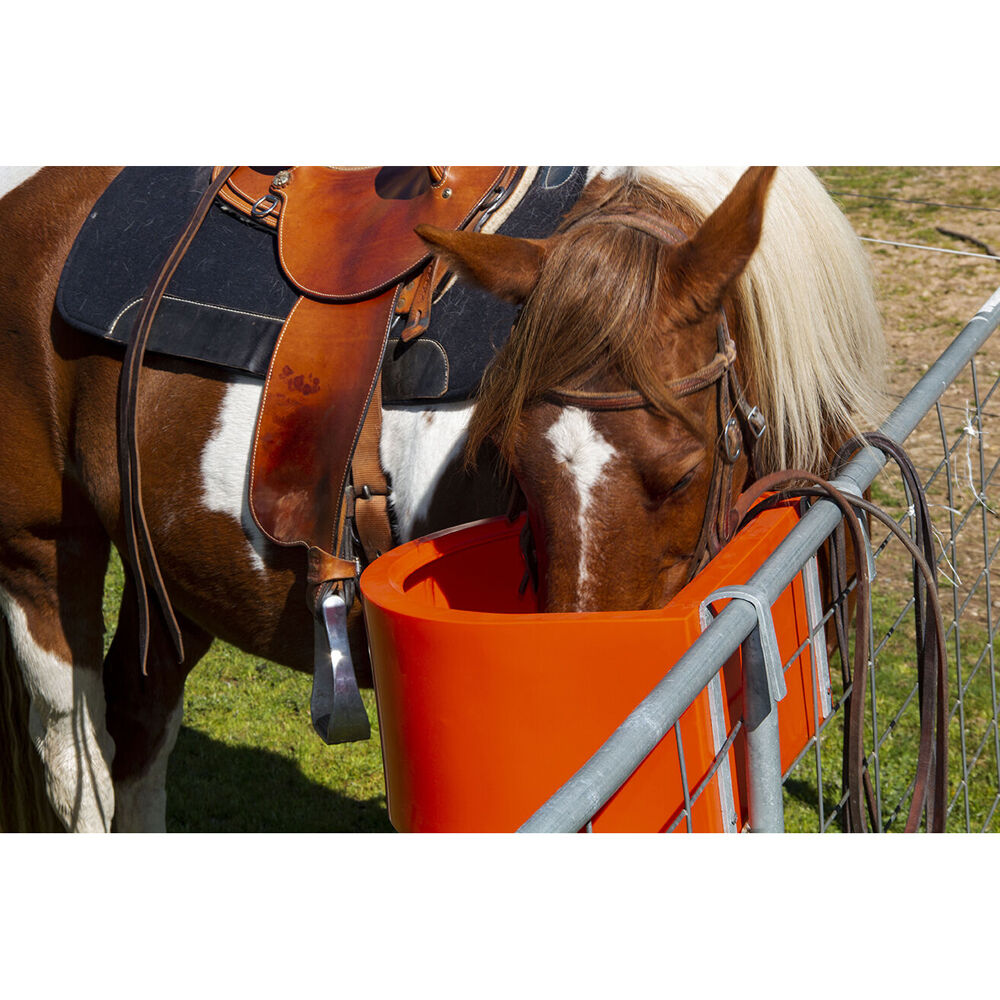 AgBoss D Shape Horse Sables and Paddock Fence Feeder 45L Black