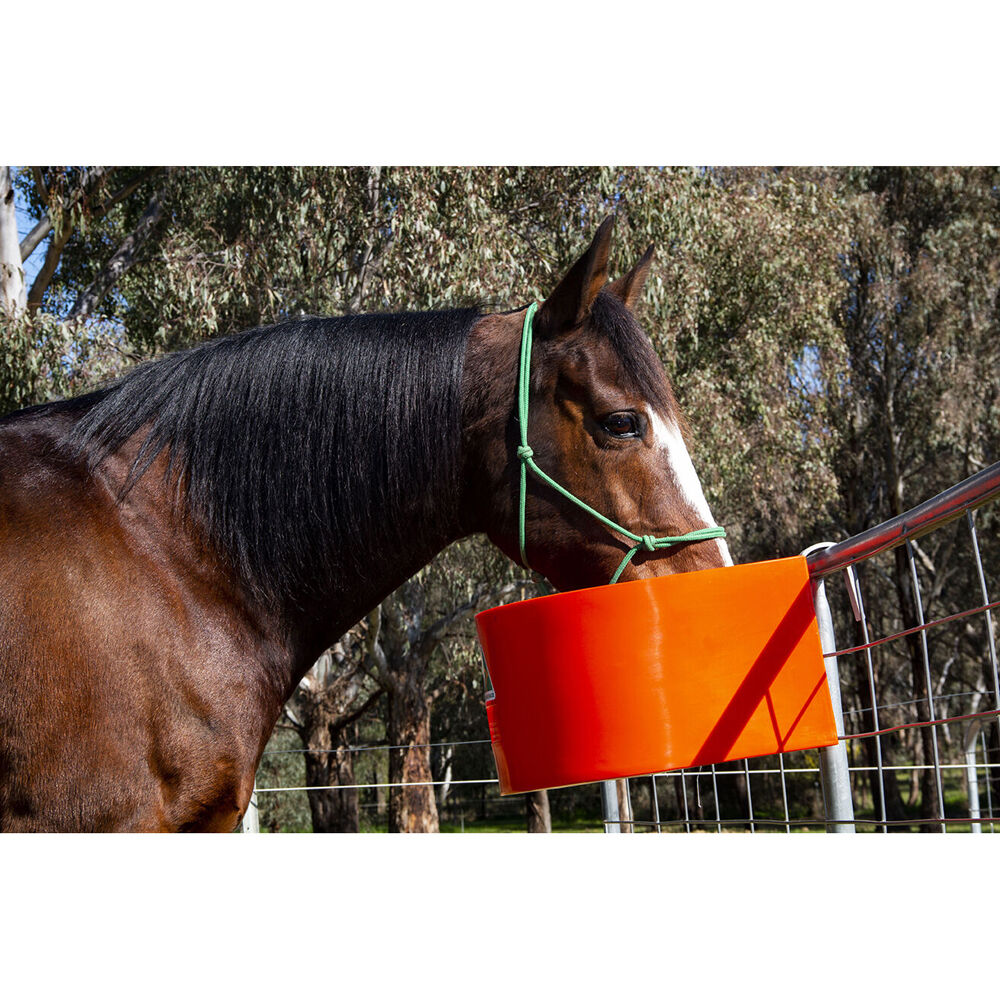 AgBoss D Shape Horse Sables and Paddock Fence Feeder 45L Grey