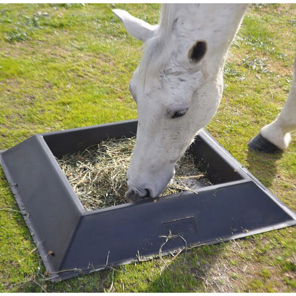 AgBoss Equine and Livestock Can't Tip Sturdy Trough 25L Red
