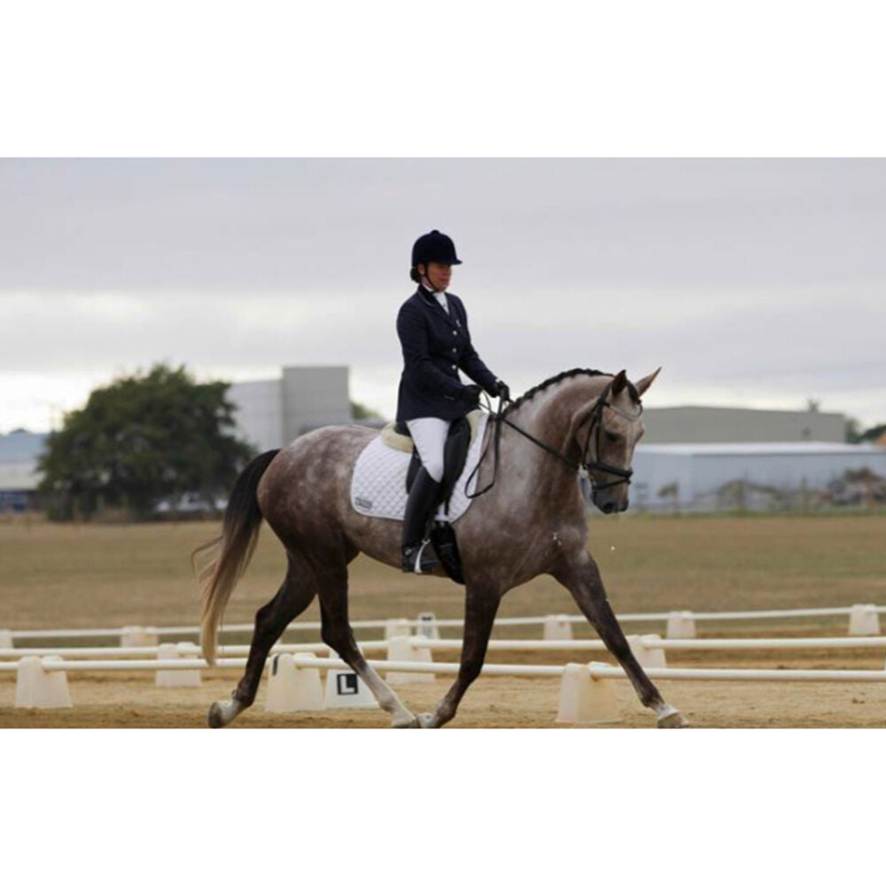 AgBoss Dressage Equestrian Arena Marker M Shape Stand Cone White