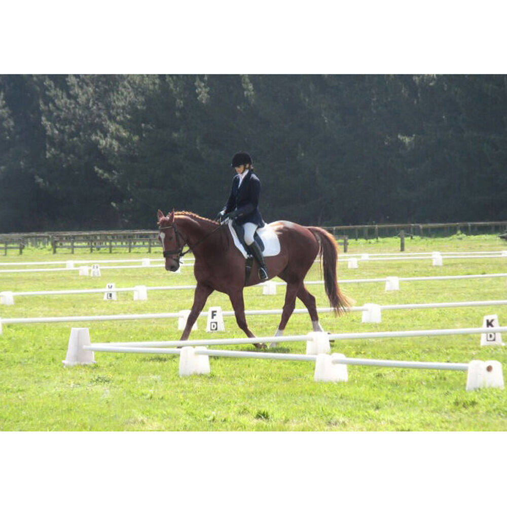 2PK AgBoss Dressage Equine Arena Corner Marker Cones 40cm Natural