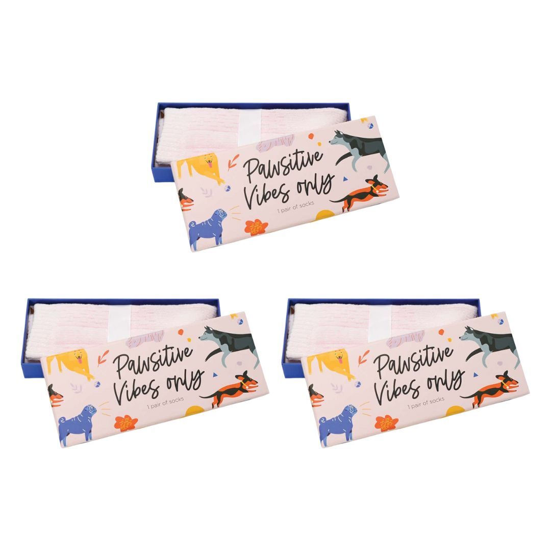 3PK Annabel Trends Boxed Novelty Socks One Size - Pawsitive Vibes