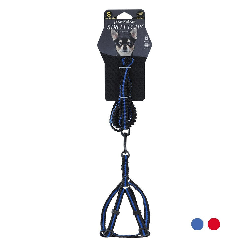 48pc Pawsnclaws Stretchy Dog/Pet Lead & Harness Assorted
