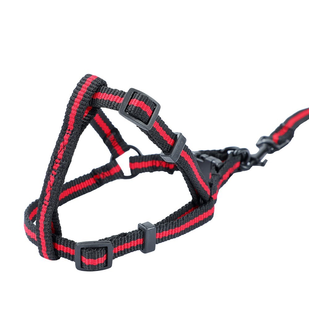 48pc Pawsnclaws Stretchy Dog/Pet Lead & Harness Assorted