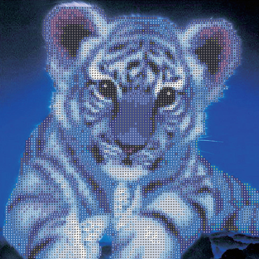2PK Junior Explorers Crystal Creations Canvas: White Tiger Cub