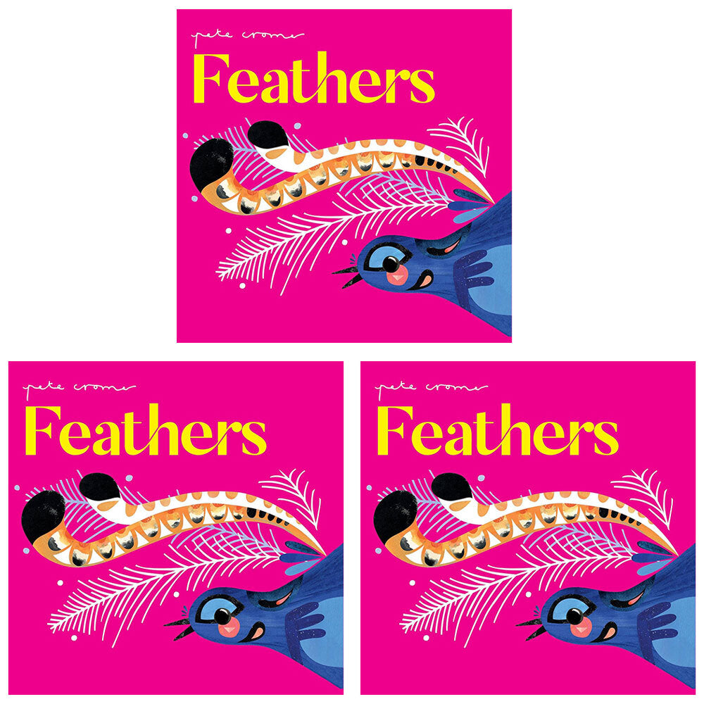 3PK Pete Cromer Feathers Kids Educational Board Book 0-3y