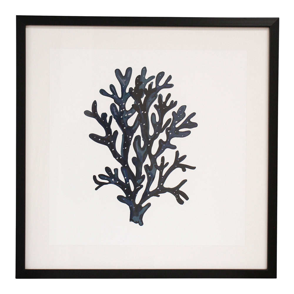 LVD Framed Glass/Resin 50x50cm Print Sea Fan 2 Wall Hanging Art