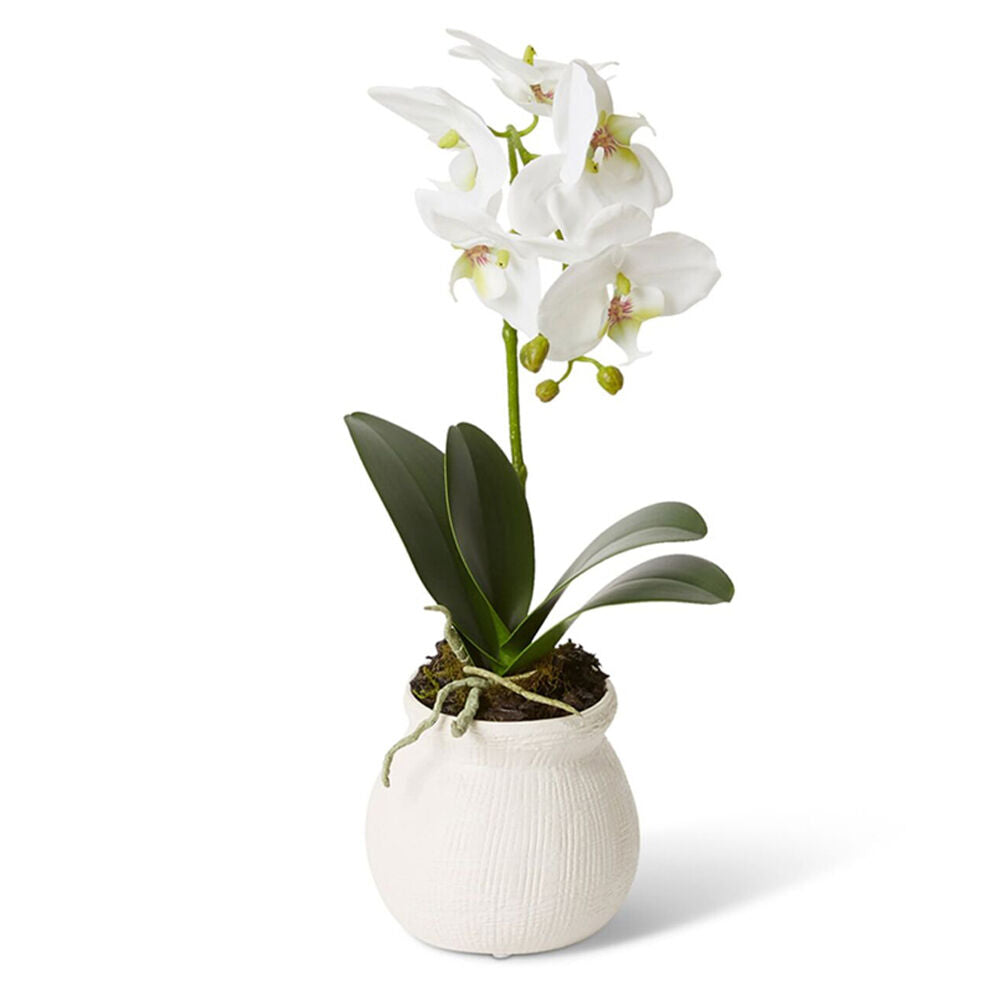 E Style Phalaenopsis Grand Wanda Flower Vase Artificial Decor 45cm White