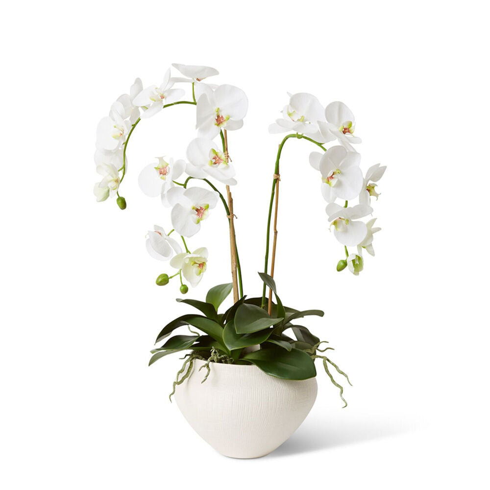 E Style Phalaenopsis Deluxe Theo Pot Artificial Decor 70cm White