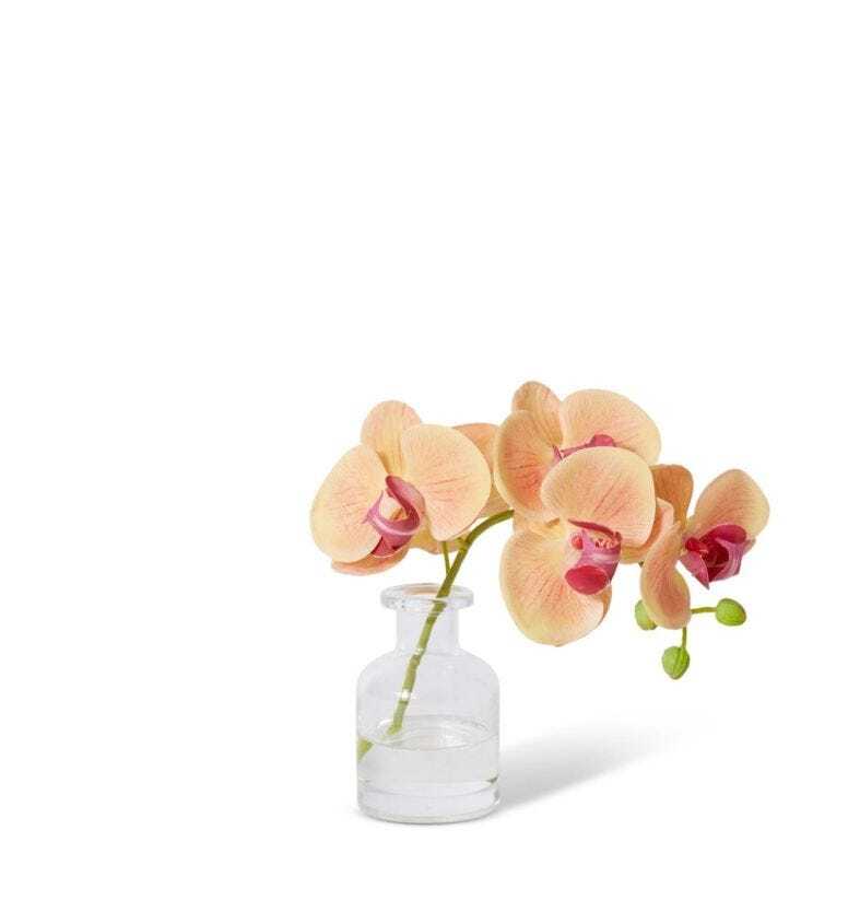 E Style Artificial 25cm Plastic Phalaenopsis Orchid in Vase - Apricot