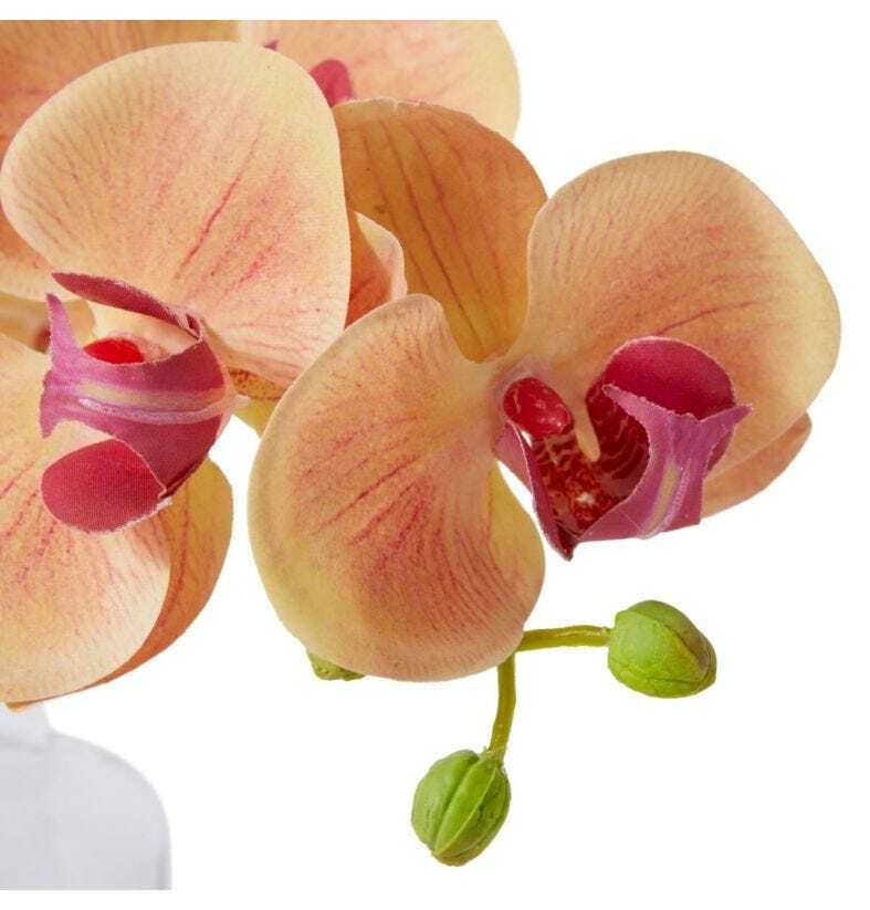 E Style Artificial 25cm Plastic Phalaenopsis Orchid in Vase - Apricot