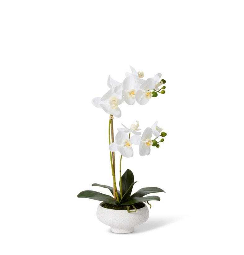 E Style Artificial 45cm Plastic Phalaenopsis Footed Bowl - White/Cream