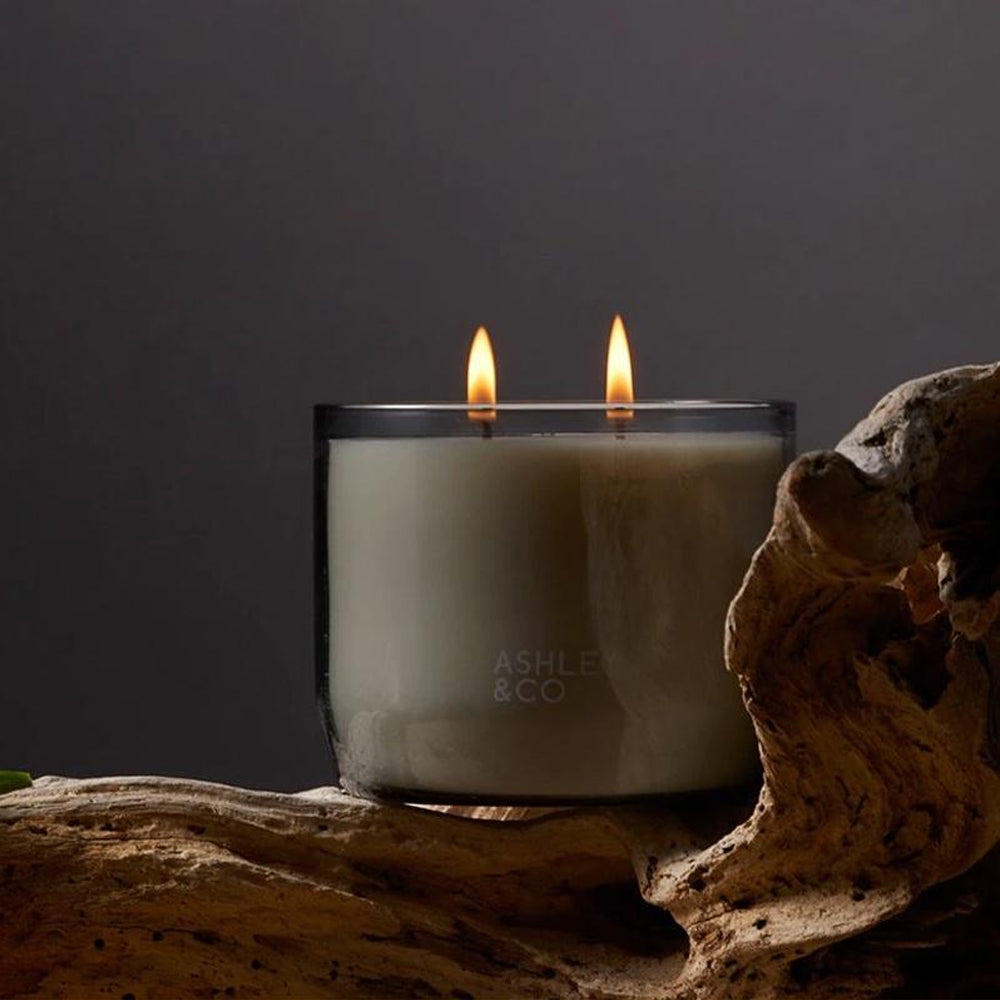 Ashley & Co Waxed Perfume 730g Scented Candle Round Tui & Kahili XL