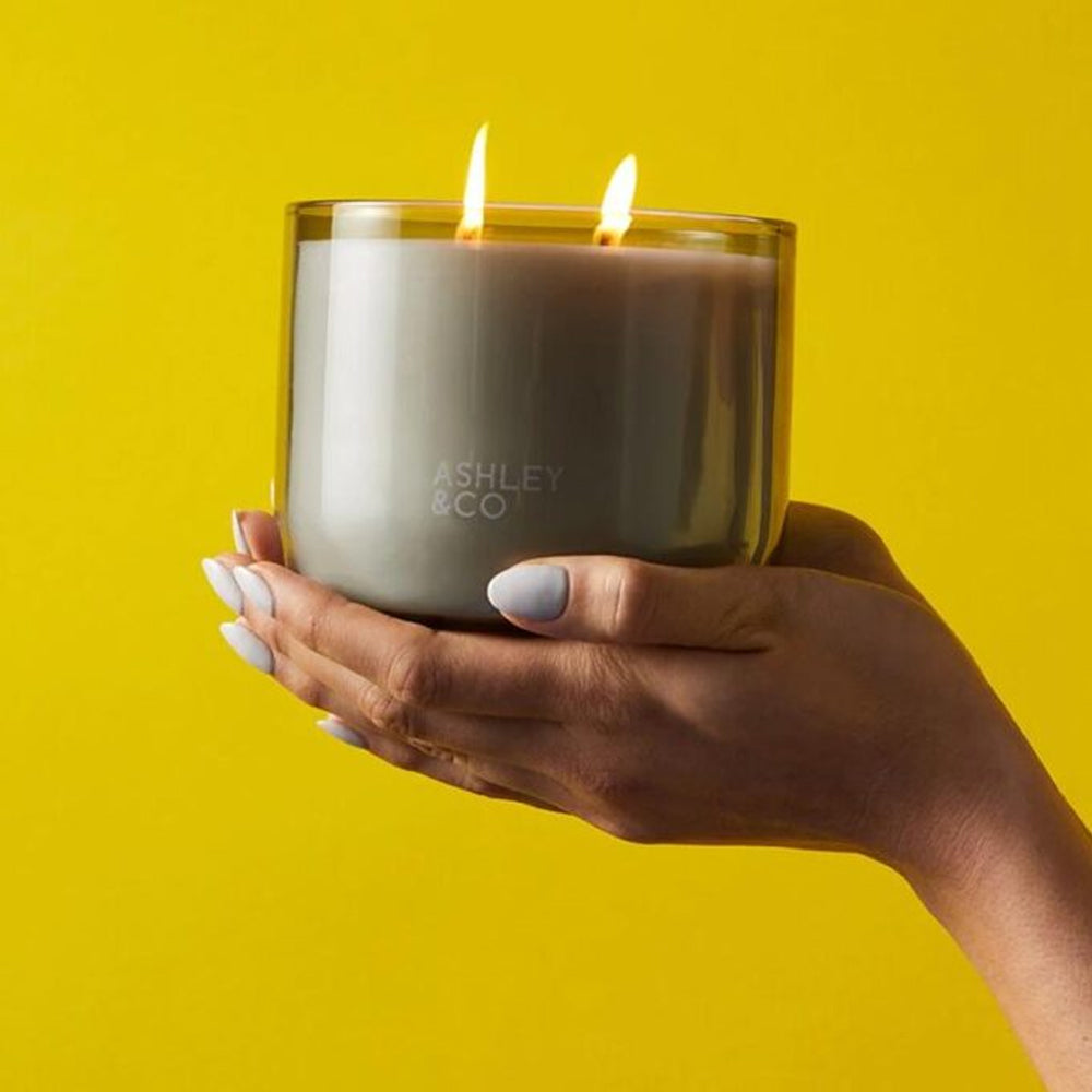 Ashley & Co Waxed Perfume 730g Scented Candle Round Tui & Kahili XL