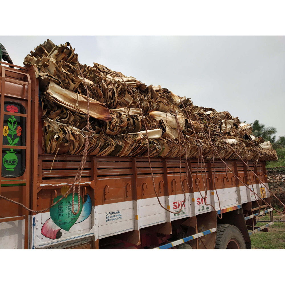 2x 112pc EcoSouLife Areca Nut Leaf Round Party Pack - Beige