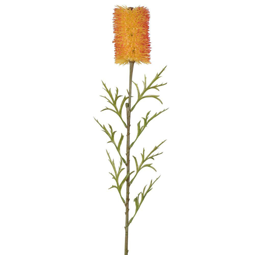 6PK Belle Banksia Single Stem Home Decorative Plant 70cm Red