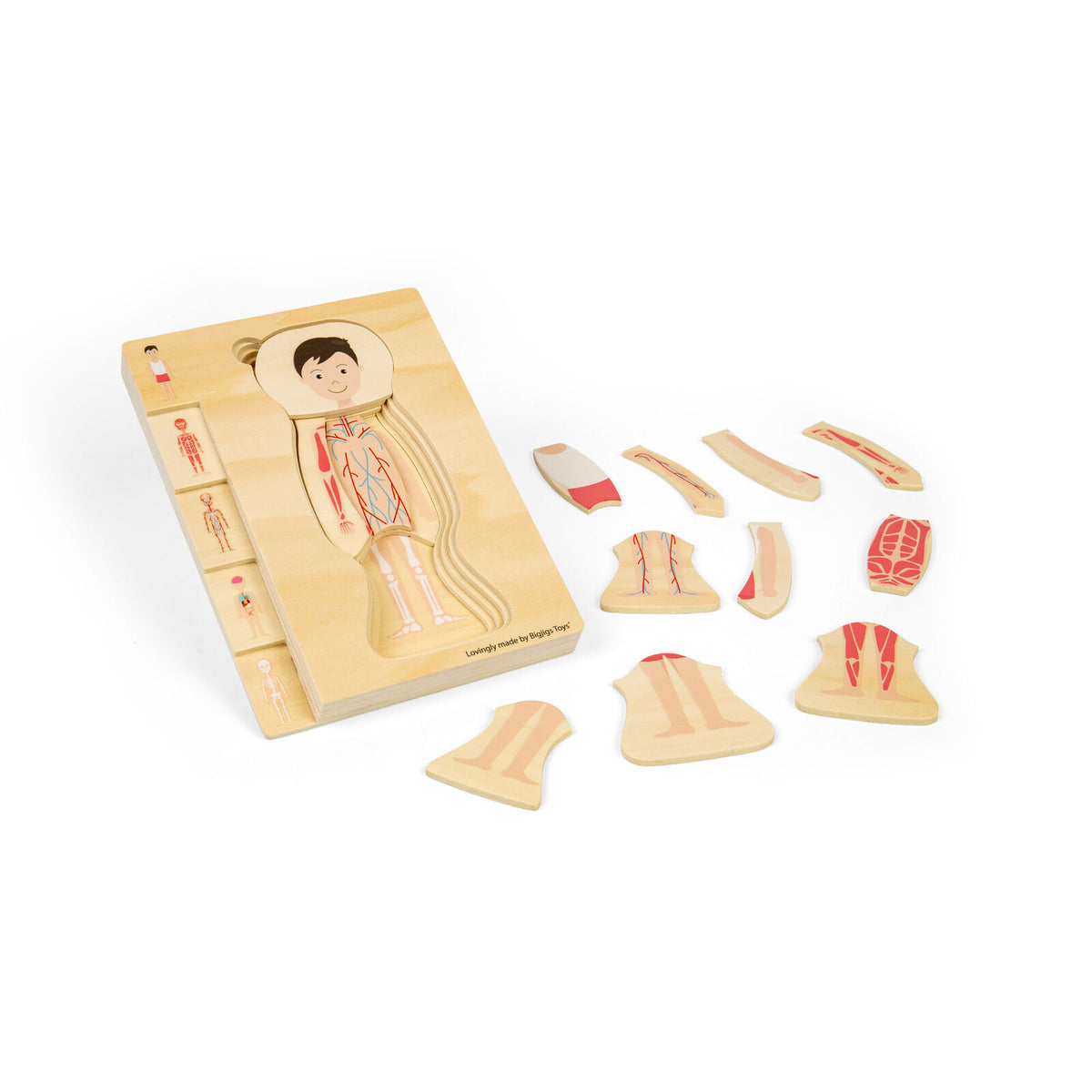 Bigjigs Toys Wood Anatomy Puzzle Boy/Girl Kids Puzzles Toys Combo Set 3y+