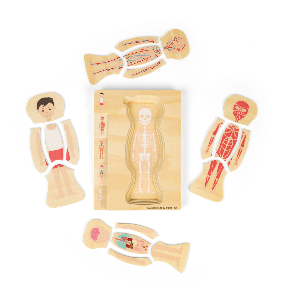 Bigjigs Toys Wood Anatomy Puzzle Boy/Girl Kids Puzzles Toys Combo Set 3y+