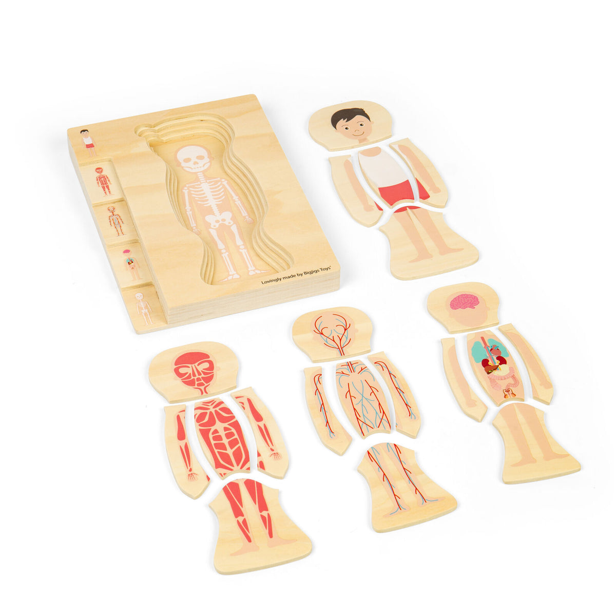 Bigjigs Toys Wood Anatomy Puzzle Boy/Girl Kids Puzzles Toys Combo Set 3y+