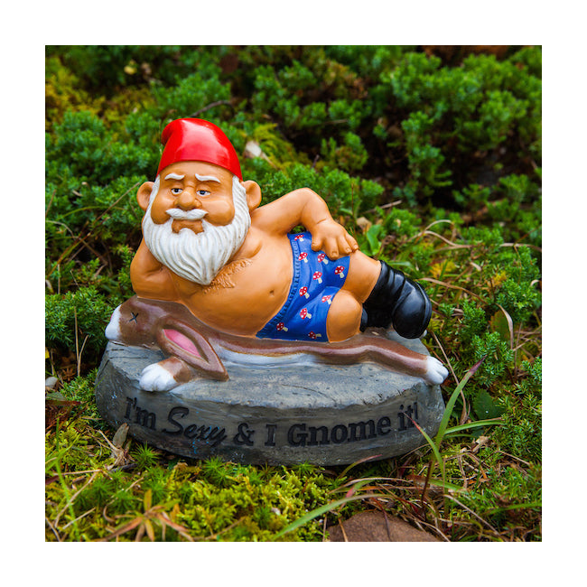BigMouth Inc. 23cm The S*xy & I Gnome It Garden Gnome Ornament Decor