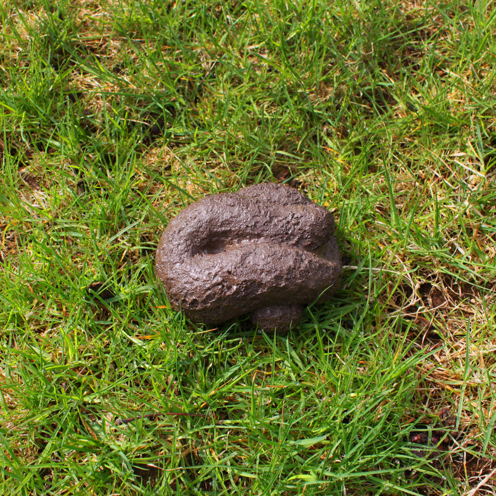 BigMouth Inc. Buster's Hide-A-Key Fake Dog Poop - Brown