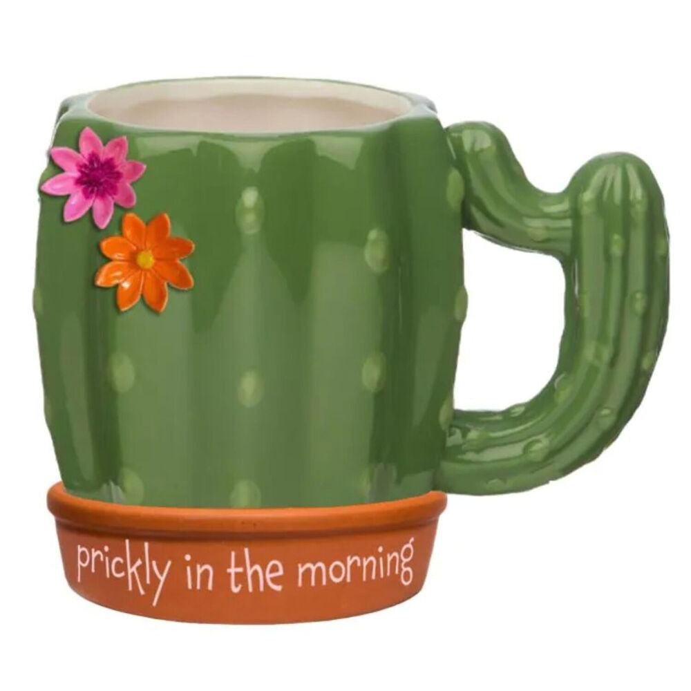 2PK Boxer Gifts Prickly In The Morning' Cactus Novelty Coffee Mug 18oz