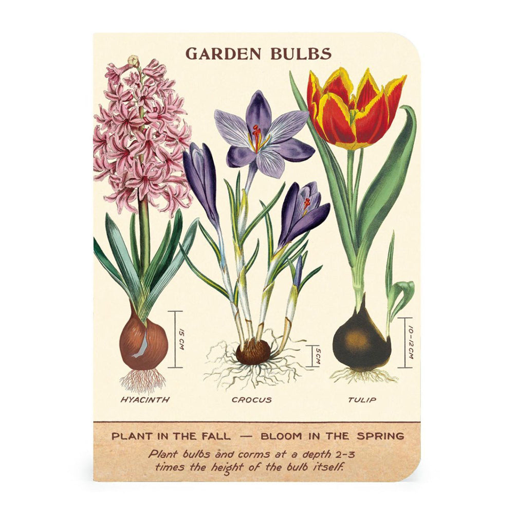 2x 3pc Cavallini Mini Notebook Set Writing Stationery - Garden